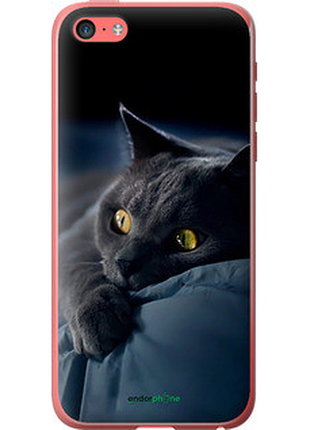 Чехол на iphone 5c дымчатый кот "825t-23-2448"