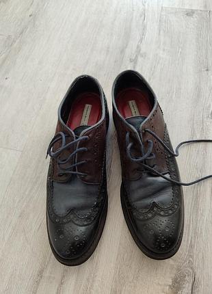 Tosca blu shies