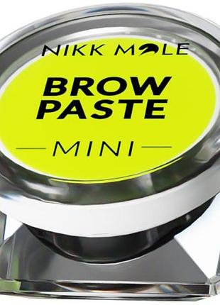 Паста для бровей brow paste mini yellow nikk mole, 3,5 г