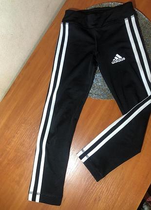 Спортивні лосини adidas