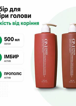 Набір заспокійливий для шкіри голови cp-1 detox scalp легкість від коріння 500 мл імбир прополіс мед маточне молочко