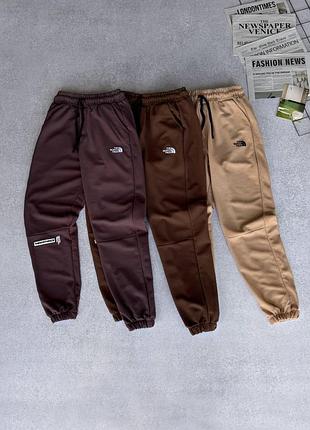 Чоловічі спортивні штани the north face