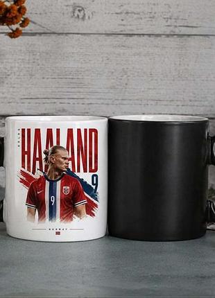 Чашка хамелеон haaland