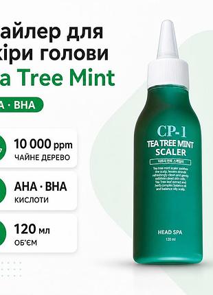 Скейлер для очистки кожи головы cp-1 tea tree mint scaler 120 мл aha bha против перхоти жирности и себума с ментолом