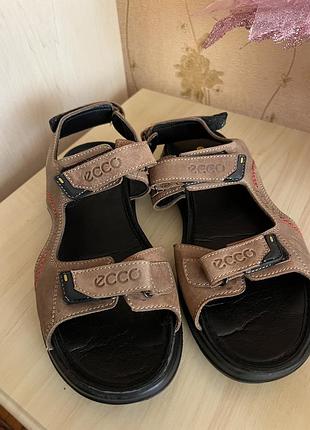 Ecco offroad оригінал 5