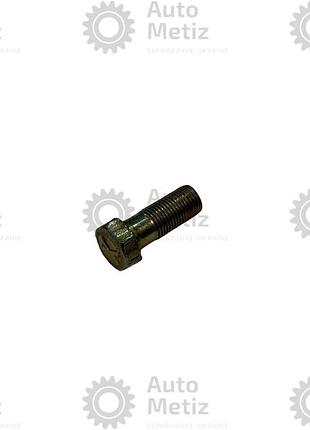 Болт (м10х1х25) с шестигранной головкой (полная резьба) (ключ 14)