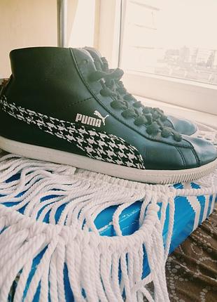 Кеди puma.