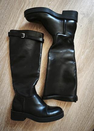 Высокие деми сапоги zara 3