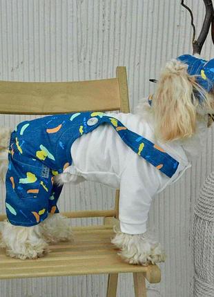 Костюм із лямками джинс фарби d-212