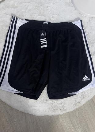 Шорти р. 2 xl