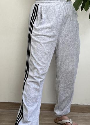 Жіночі оригінальні спортивні штани adidas original adicolor classics сірі велюр бавовна оверсайз унісекс з лого m/xl