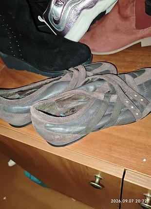 Кросівки авангард 38 уст 25 см шкіра clarks