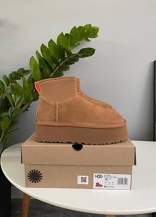 Угги жіночі ugg classic mini dipper chestnut 2