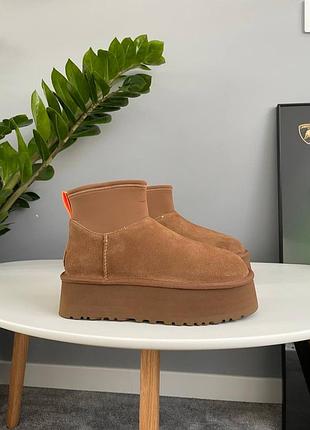 Угги жіночі ugg classic mini dipper chestnut