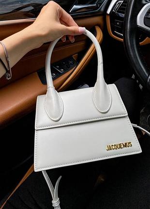 Сумка жіноча jacquemus le chiquito moyen
