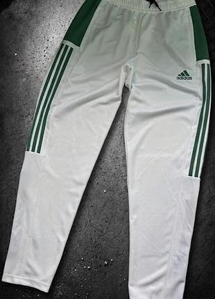 Чоловічі спортивні штани adidas