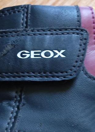 Высокие кроссовки geox 5