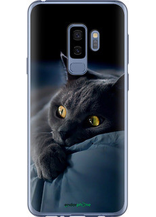 Чехол на samsung galaxy s9 plus дымчатый кот "825t-1365-2448"