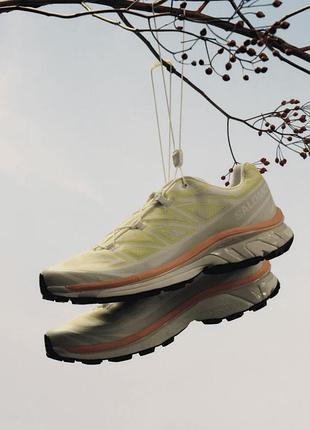 Кросівки salomon xt 6