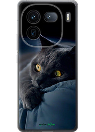 Чехол на vivo iqoo 12 дымчатый кот "825u-3433-2448"
