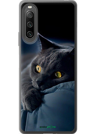 Чохол на sony xperia 10 iv димчастий кіт "825u-2789-2448"