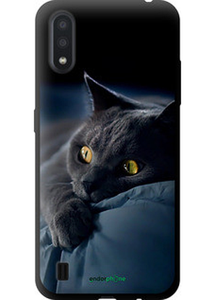 Чохол на samsung galaxy a01 a015f димчастий кіт "825b-1842-2448"