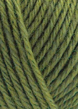 Alize wooltime, оливковий 139 2