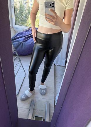 Лосини calzedonia