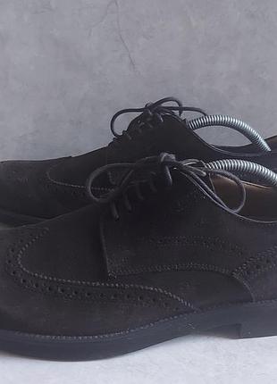 Мужские замшевые броги туфли дерби  от итальянского бренда tod's