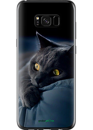 Чехол на samsung galaxy s8 plus дымчатый кот "825t-817-2448"