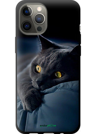 Чохол на iphone 12 pro max димчастий кіт "825b-2054-2448"