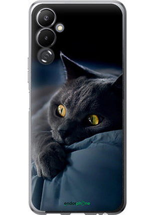 Чохол на tecno pova 4 lg7n димчастий кіт "825u-2967-2448"