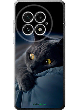 Чехол на oneplus 13 5g дымчатый кот "825u-3875-2448"