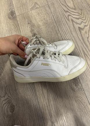 Кросівки puma 3