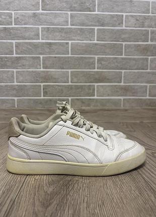 Кросівки puma