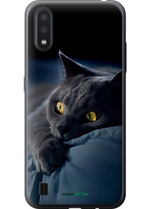 Чохол на samsung galaxy a01 a015f димчастий кіт "825t-1842-2448"