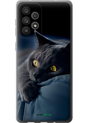 Чохол на samsung galaxy a73 a736b димчастий кіт "825u-2586-2448"