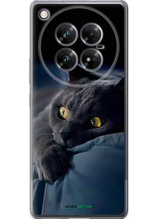 Чехол на infinix zero 40 5g дымчатый кот "825u-3822-2448"