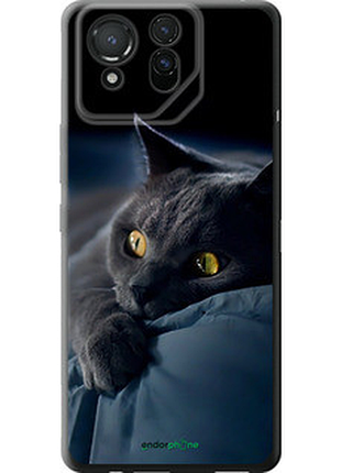 Чехол на asus rog phone 8 дымчатый кот "825u-3696-2448"