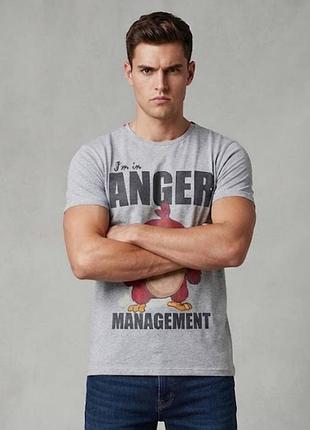 Чоловіча сіра футболка angry birds (i'm in anger management)
