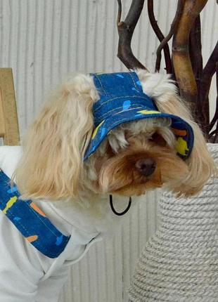 Панамка джинс фарби s-56 3
