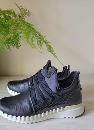 Кросівки шкіряні оригінал ecco zipflex 803743 рр.36