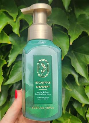 Нежное парфюмированное пенное мыло eucalyptus spearmint от bath &amp; body works печень