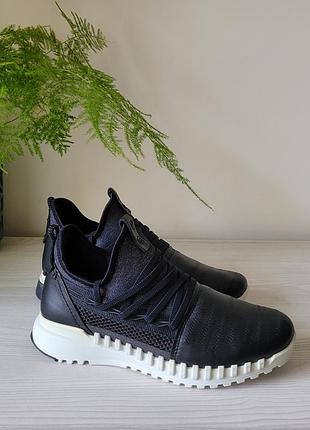 Кросівки шкіряні оригінал ecco zipflex 803743 рр.36 5