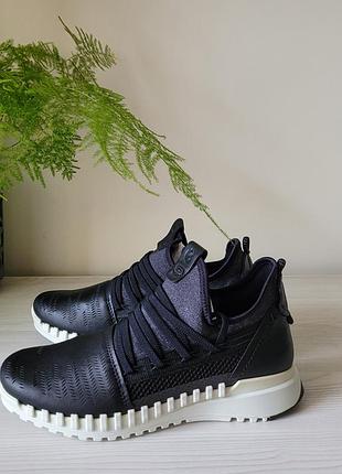 Кросівки шкіряні оригінал ecco zipflex 803743 рр.36 2