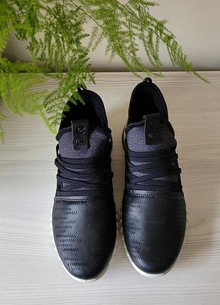 Кросівки шкіряні оригінал ecco zipflex 803743 рр.36 3