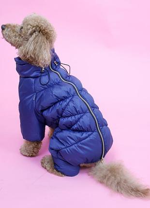 Зимний комбинезон comfort new синий r-69