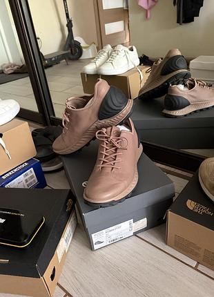 Ecco officials 2