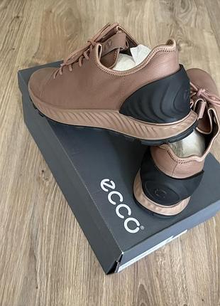 Ecco officials 4