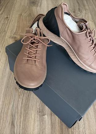 Ecco officials 3